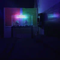 سوییت همکف خیابان دانشجو