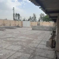 احتیاج به شریک سرمایه گذار در پرواربندی  دارم