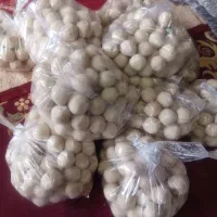 کشک گوسفندی