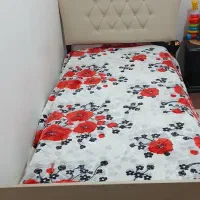 تخت