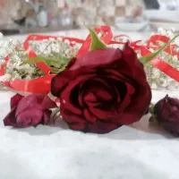 انواع گل را روز مادر