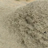 کاه و کلش زیره