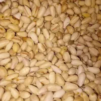 راهنمایی کنید