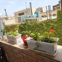 ۹۷ متر / جنوبی / تاپ لوکیشن