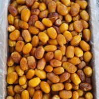 رطب|عمده‌فروشی|جهرم, |دیوار