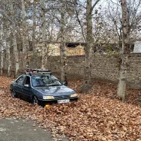 پژو ۴۰۵. ۹۵  لوازمی