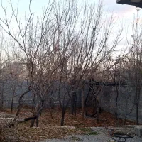 خانه و زمین در بیضا|فروش زمین و ملک کلنگی|بیضا, |دیوار