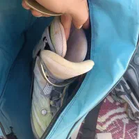 کفش اسکیت کامل دخترانه|دوچرخه، اسکیت، اسکوتر|تبریز, |دیوار