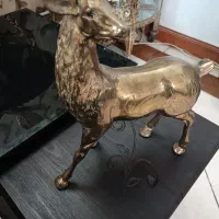 گوزن برنجی|صنایع دستی و سایر لوازم تزئینی|قرچک, مهدیه|دیوار