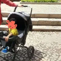 کالسکه مارک دلیجان