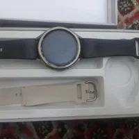 مچی
