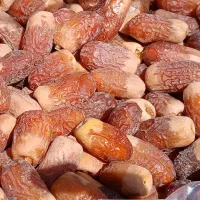 خرمای مضافتی، خرمای رنگنو و خرمای پیمازو|خدمات پذیرایی، مراسم|رشت, بازار|دیوار