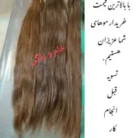 فروش مو و خرید مو