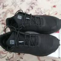کفش اسپورت شماره43