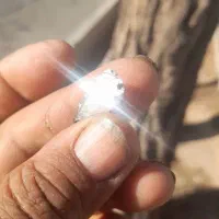 فروش الماس فقط تماس خریدار واقعی