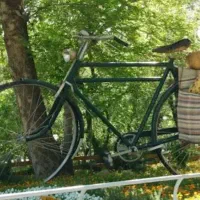 طلا پیدا شده