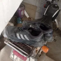 کتونی اورجینال استوک اصل|کیف، کفش، کمربند|قائمشهر, |دیوار