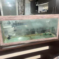 آکواریوم