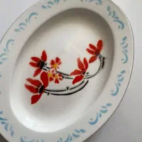 دیس لعابی گل قرمز