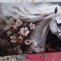 تابلو سه تیکه|تابلو، نقاشی، عکس|میاندوآب, |دیوار