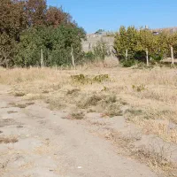 فروش زمین مسکونی|فروش زمین و ملک کلنگی|شیروان (لرستان), |دیوار