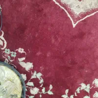 فرش شش متری|فرش|سبزوار, چهارراه فرودگاه|دیوار