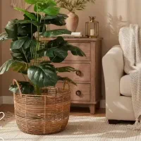 گل و درختچه مصنوعی|گل و گیاه طبیعی|بندر کنگان, |دیوار