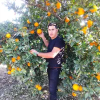 نهال فروشی جعفری|خدمات باغبانی و درختکاری|سردشت, |دیوار