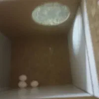 مرغ عشق|پرنده|زاهدان, |دیوار
