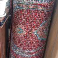 کناره فرش|فرش|بانه, |دیوار