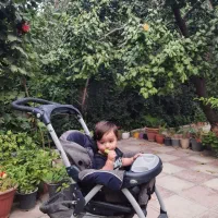 کالسکه چیکو|کالسکه و لوازم جانبی|محمدشهر, همایون ویلا|دیوار