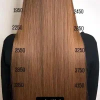 احیا و کراتین اقتصادی با برند برزیلی