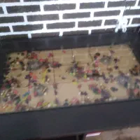 میز عسلی|مبلمان خانگی و میز عسلی|شیروان (خراسان), |دیوار