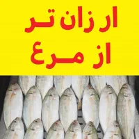 ماهی ۱۳۹ تومان|خوردنی و آشامیدنی|قم, در بهشت|دیوار