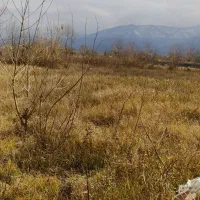 زمین کاربری دار مسکونی