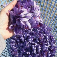 زعفران|خوردنی و آشامیدنی|ایوانکی, |دیوار
