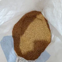 کنجد طلایی|خوردنی و آشامیدنی|زرقان, |دیوار