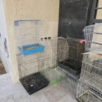 قفس پرنده