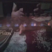 بخاری بزرگ سالم