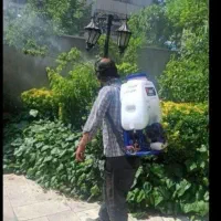 اجرای باغبانی هرسکاری سم تمام نقاط تهران وحومه