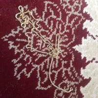 یک پلاک فروهر کوروش گم شده