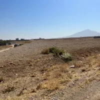 زمین کشاورزی|فروش دفتر صنعتی، کشاورزی، تجاری|خمین, |دیوار