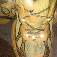 کتانی بالنسیاگا