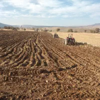 زمین کشاورزی ابی کارزان