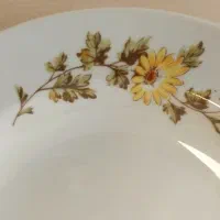 بشقاب پلو و خورشت خوری