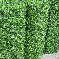 فنس چمنی|حراج|مریوان, |دیوار