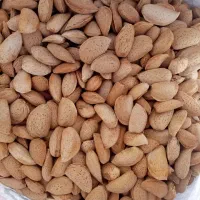 بادام درختی شیرین
