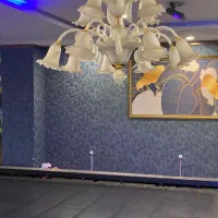 لوستر اوپال وارداتی|لوستر و چراغ آویز|ارومیه, |دیوار