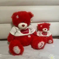 خرس ولنتاین