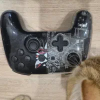 دسته های بازی